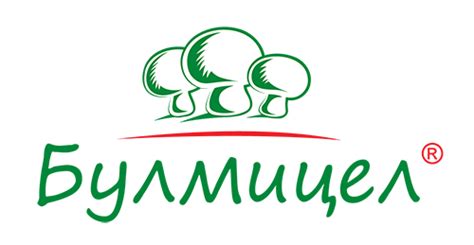 Гъбен мицел - Булмицел - производство на гъбен мицел