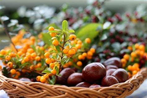 Cestas De Frutas Para Decorar Y Regalar Decoora