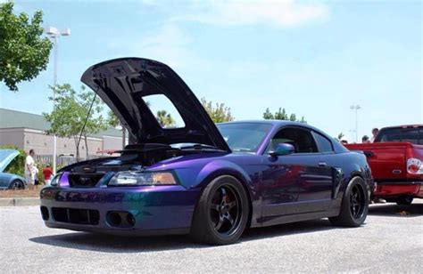 Mystic Cobra New Edge Mustang Dream Cars Mustang