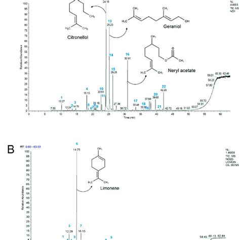 Gc Ms Analysis Of Geranium And Lemon Essential Oils Gc Profiles And Download Scientific