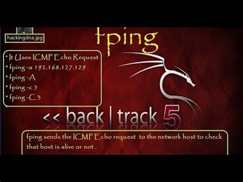 Video 6 Fping Information Gathering Kali Linux Complete Hacking