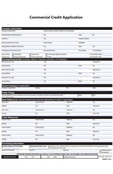 Free 37 Credit Application Forms In Pdf Ms Word Excel