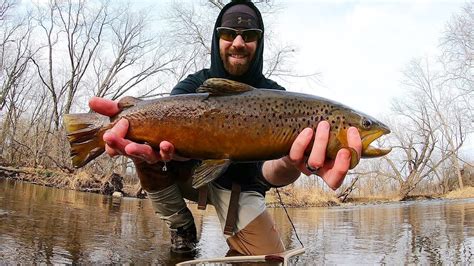 Trout Fishing For Monster Brown Trout In Small Creek Youtube