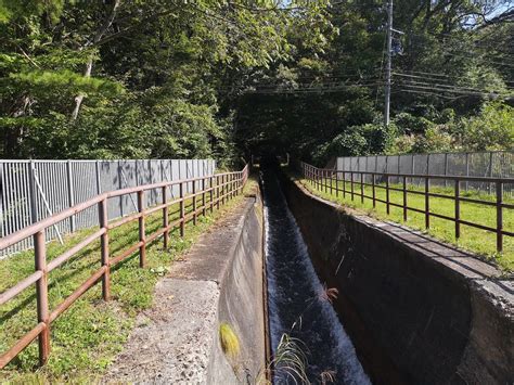 秋田県仙北市で開催された第35回田沢湖マラソンに参加してきました 子持ちししゃもといっしょ