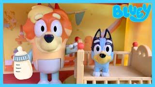 Bluey Bingo Baby and Mini Bluey UNCLE RAD episode! | D... | Doovi