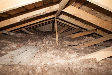 What To Expect From An Inspection Of Your Attic