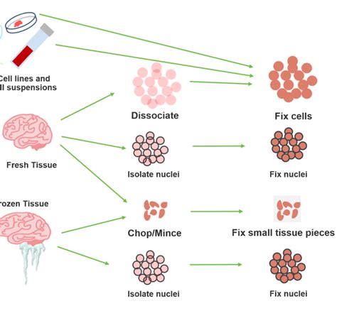 Single Cell Sequencing Genesmart Co Ltd