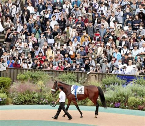 【東京5r・2歳新馬】アーモンドアイ初子のアロンズロッドは4着 ルメール騎手「これからの馬」と伸びしろに期待 競馬ニュース Netkeiba