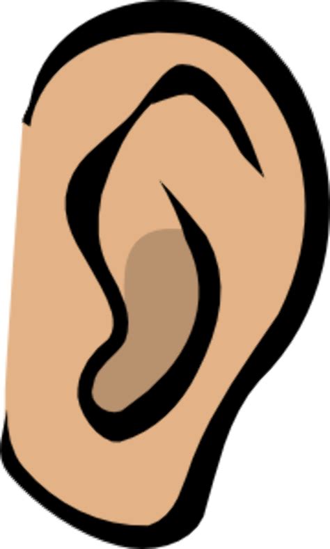 Download High Quality ear clipart small Transparent PNG Images - Art ...