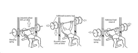 Schematic Of The Eccentric Accentuated Protocol 120 80 Performed At Download Scientific