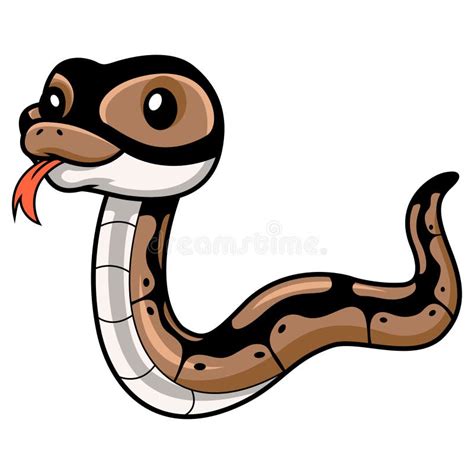 Cute Ball Python Snake Cartoon Stock Vector Illustration Of Happy