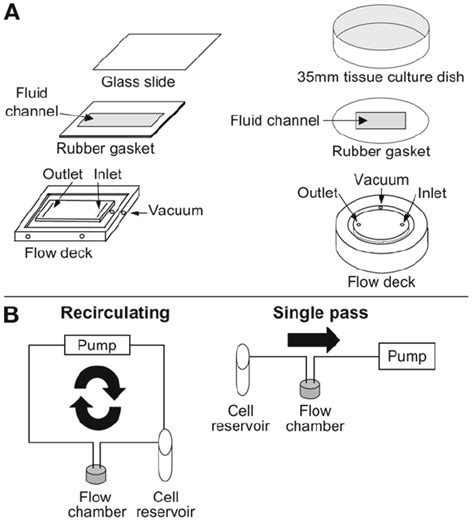 Schematics Of Typical Parallel Plate Flow Chamber Configurations A