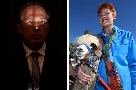 29 Photos That Sum Up How Ridiculous Australian Politics Was In 2016