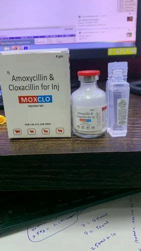 Amoxycillin Cloxacillin Vet Gm At Rs Amoxycillin Cloxacillin