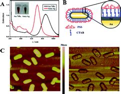 Motor Coordination Dysfunction Induced By Gold Nanorods Core Silver