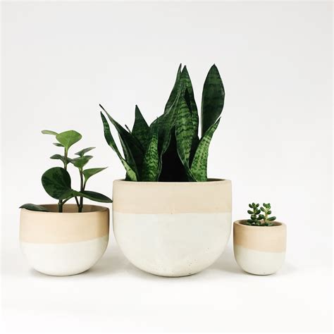 Concrete Bowl Planters — SETTLEWELL | Modern Planters and Home Goods