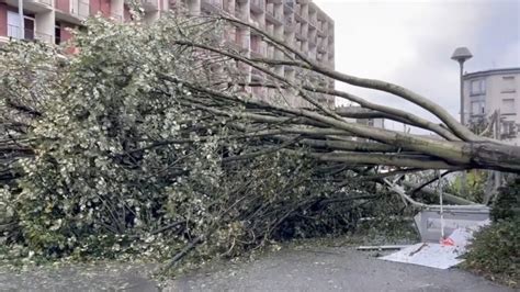 Damage in France After Storm Ciaran | WeatherBug