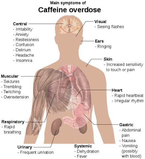 Caffeinism Wikipedia