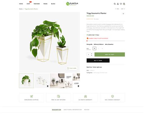 Plantila Gardening Houseplants Shopify Theme