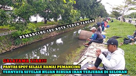 ALIANSI PEMANCING Ikan Terlalu Banyak Para Pemancing Turun Tangan