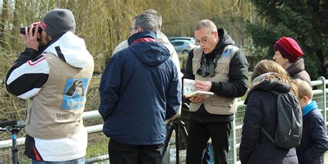 Observation Des Oiseaux Hivernants Des Tangs De Vaux Et De Baye Lpo