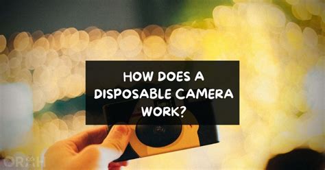 How Do Disposable Cameras Work Why Use Them Orah Co