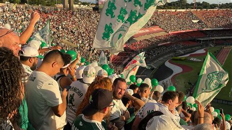 Rea O Da Torcida Hino Do Palmeiras Palmeiras X Santos