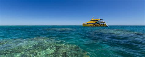 Explore Group | Tiritiri Matangi Island | Ferry Services | Island Wildlife Sanctuary | Hauraki ...