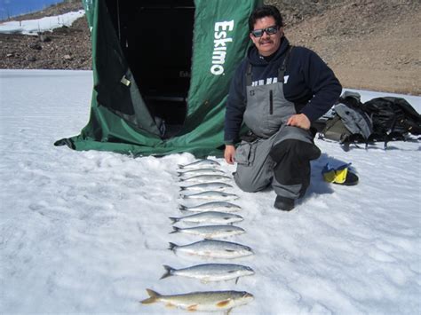 Colorado Ice Fishing Trips Book A Trip Antero Blue Mesa And 11 Mile