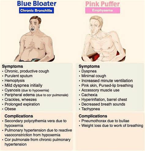 Blue Bloater vs Pink Puffer - MEDizzy