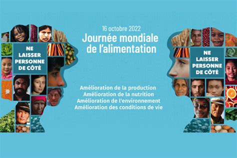 Organisation Des Nations Unies Pour L Alimentation Et L Agriculture