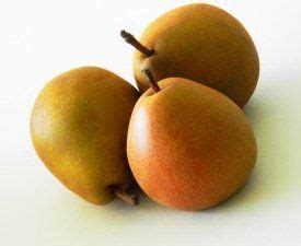 Fruits that a Boxer Dog Can Eat