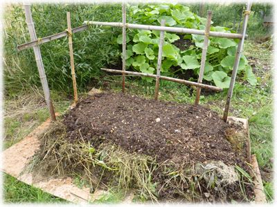 Réaliser un potager en lasagne découvrer son fonctionnement et les