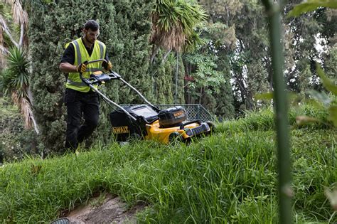 Lawn Mowers Dewalt