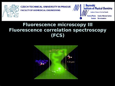 Ppt Fluorescence Microscopy Iii Fluorescence Correlation Spectroscopy Fcs Pdfslidenet