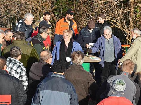 Brennholz Ist Relativ G Nstig Zu Haben Efringen Kirchen Badische