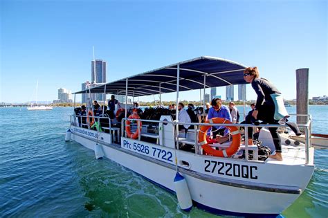 Gold Coast Scuba Dive Book Now No Experience Necessary