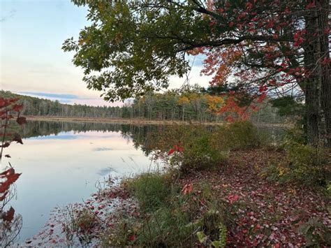 Pond Wishes Beatrice Photography Landscapes And Nature Beach