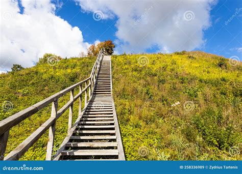 Escadas De Madeira No Meio Da Natureza Para Subir Ou Descer Imagem De