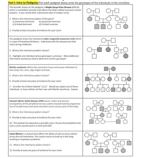 Solved Part 1 Intro To Pedigrees For Each Pedigree Below Chegg