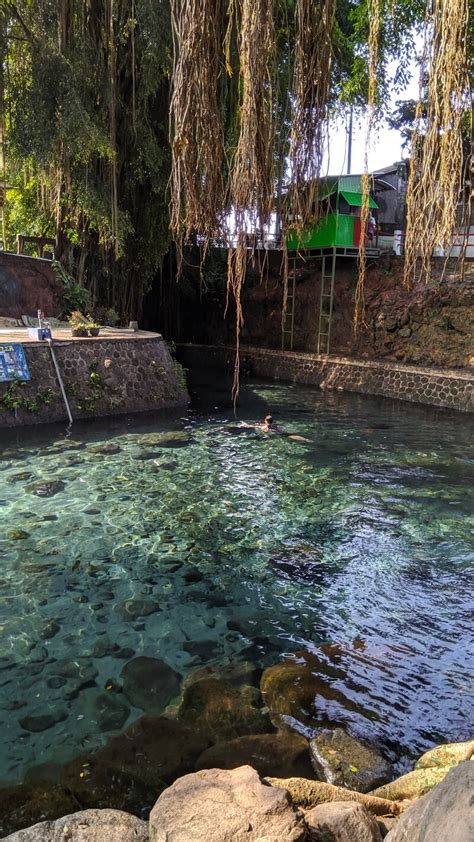 Umbul Sigedang Kapilaler Menikmati Jernihnya Air Di Klaten