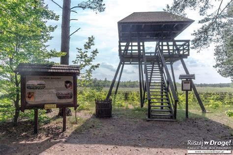 Jak Zwiedza Poleski Park Narodowy Ruszaj W Drog