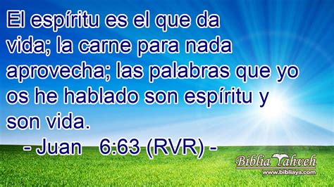 Juan 6 63 RVR El espíritu es el que da vida la carne para