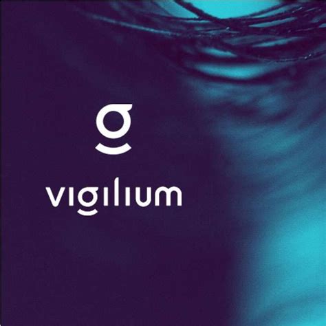 Vigilium Un Approccio Integrato E Data Driven Alla Sicurezza Urbana