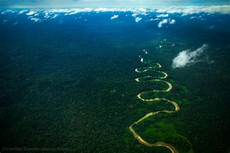 Brasil Y Bolivia Son Los Pa Ses Con Mayor Deforestaci N Y Degradaci N