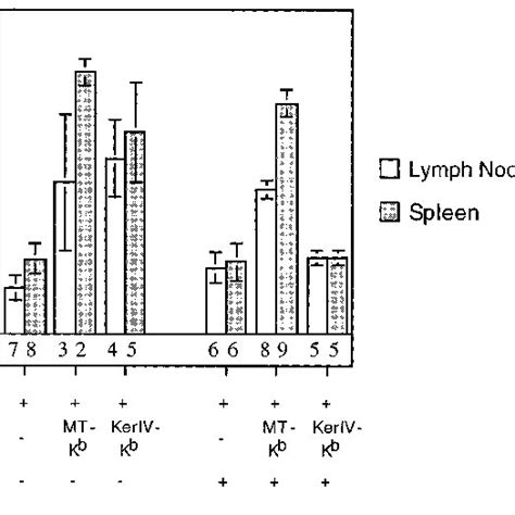 Enforced Bcl 2 Expression Blocks Peripheral Clonal Deletion In 3 83 Download Scientific Diagram