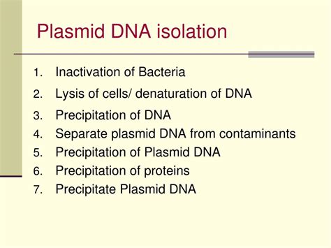 Plasmid DNA Isolation