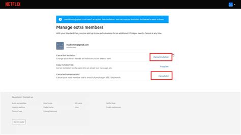 How To Add And Cancel Extra Members On Netflix With Video