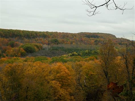 Crawford Lake Loop Reservation Required Date Change Bruce Trail