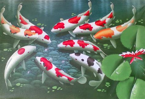 Gambar Ikan Koi Dunia Binatang